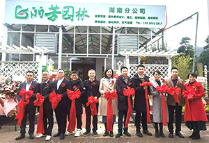 �격����-����Ʒ������