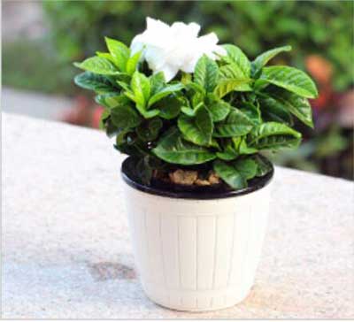 �격����-����Ʒ������