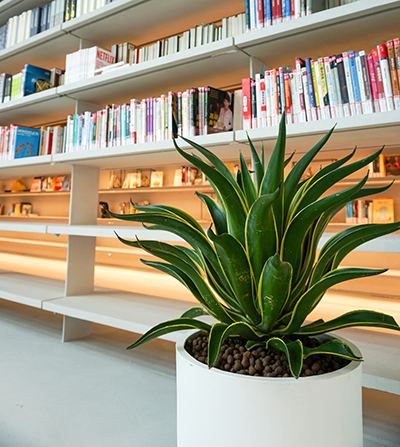 �격����-����Ʒ������