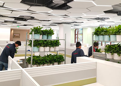 �격����-����Ʒ������