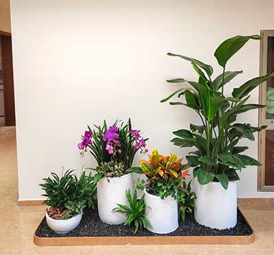 �격����-����Ʒ������