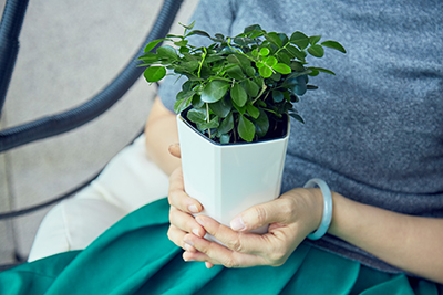 �격����-����Ʒ������