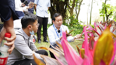 �격����-����Ʒ������