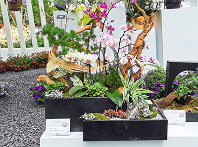 �격����-����Ʒ������