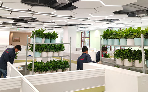 �격����-����Ʒ������