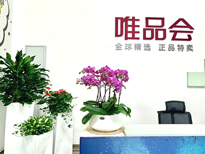 �격����-����Ʒ������