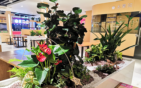 �격����-����Ʒ������