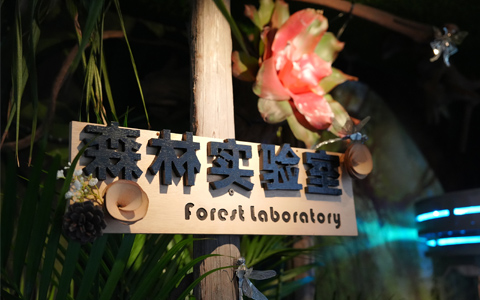 �격����-����Ʒ������