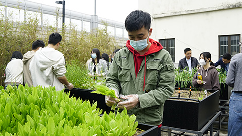 �격����-����Ʒ������