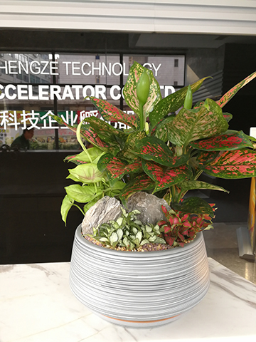 �격����-����Ʒ������