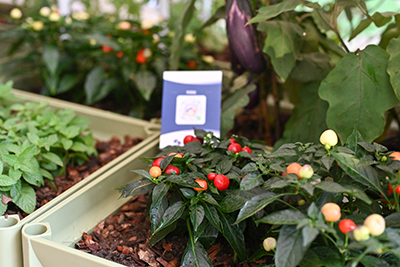 �격����-����Ʒ������