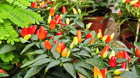 �격����-����Ʒ������