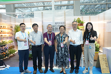 �격����-����Ʒ������