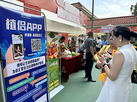 �격����-����Ʒ������