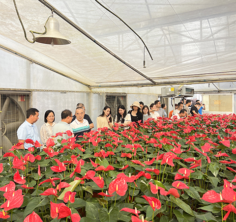 �격����-����Ʒ������