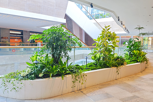 �격����-����Ʒ������