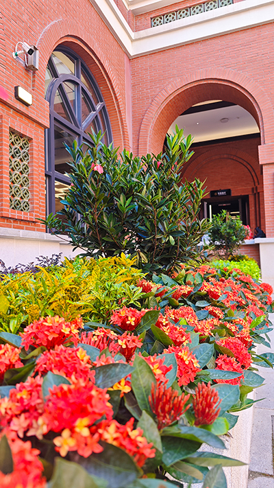 �격����-����Ʒ������