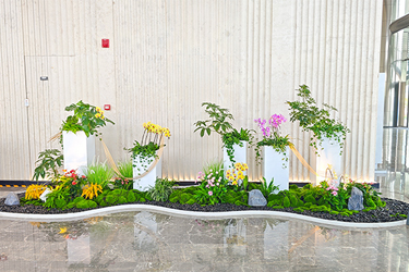 �격����-����Ʒ������