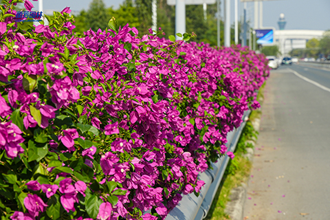 �격����-����Ʒ������