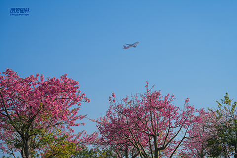 �격����-����Ʒ������