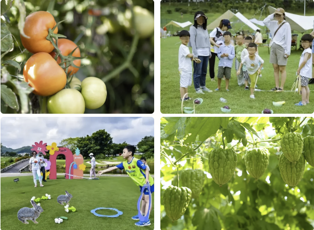 �격����-����Ʒ������