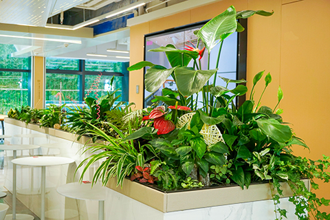 �격����-����Ʒ������