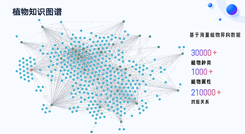 �격����-����Ʒ������