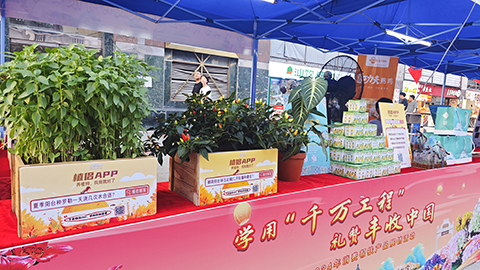 �격����-����Ʒ������