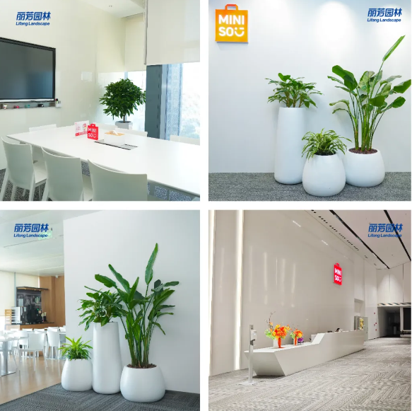 �격����-����Ʒ������