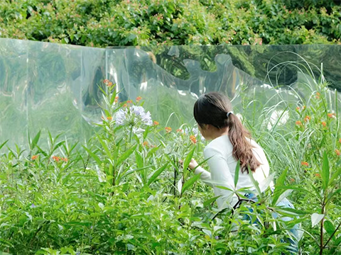 �격����-����Ʒ������