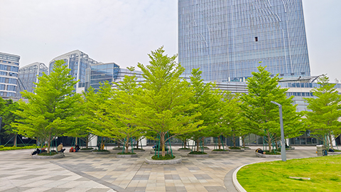 �격����-����Ʒ������