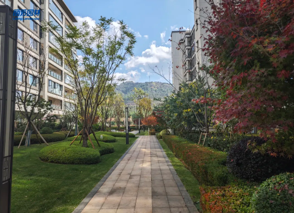 �격����-����Ʒ������