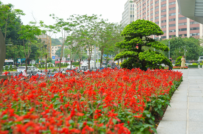 �격����-����Ʒ������