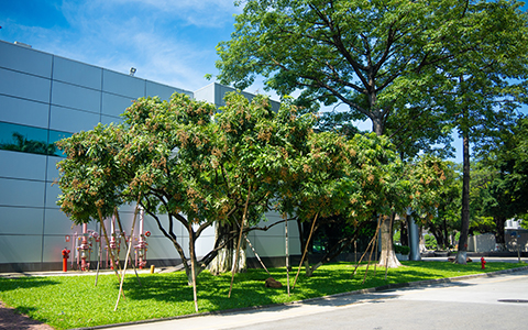 �격����-����Ʒ������