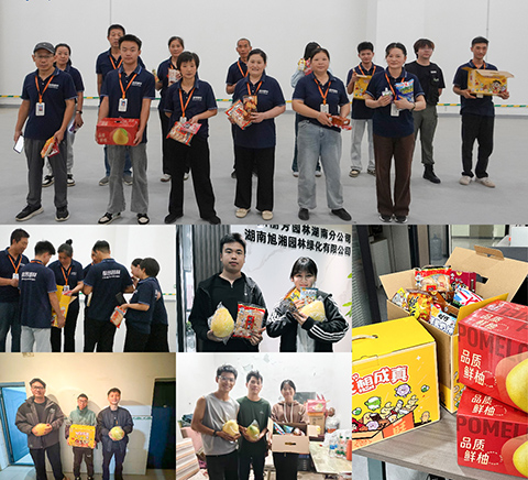 �격����-����Ʒ������