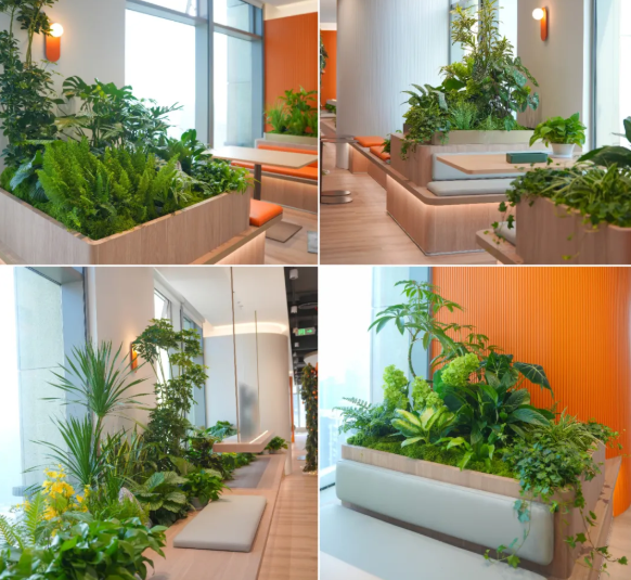 �격����-����Ʒ������