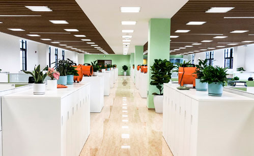 �칫��ֲ������