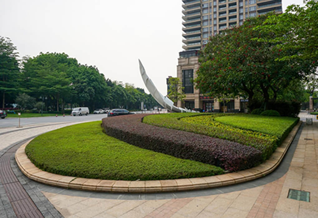 ��ɳ����Ҽ��