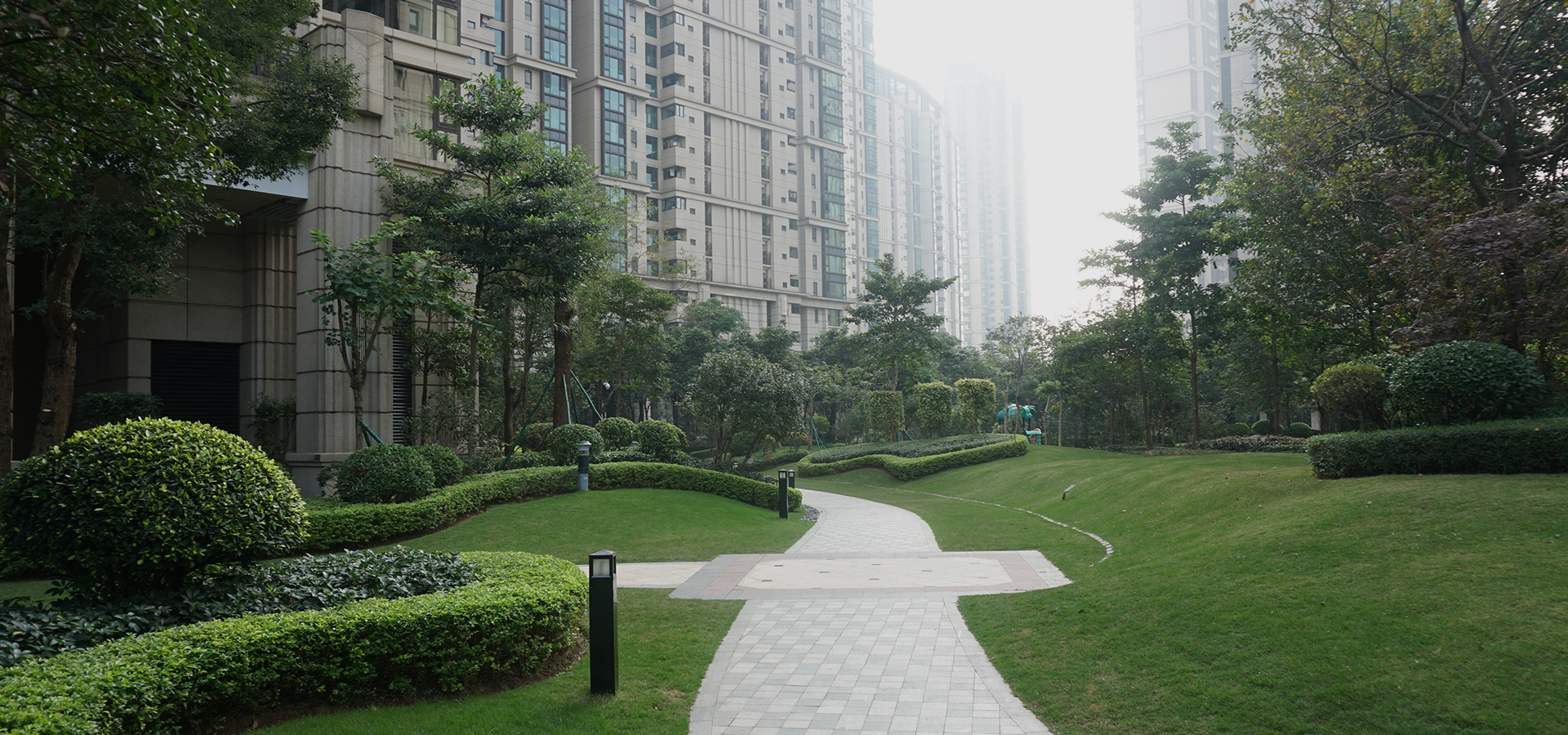 �̻�����