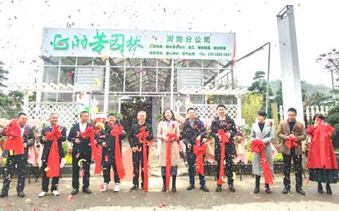 �격����԰�ֺ��Ϸֹ�˾ʢ��ҵ����ս�����г�