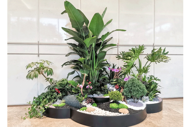 ��Ϊ�������ܲ���