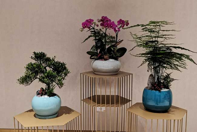 ��Ϊ�������ܲ���