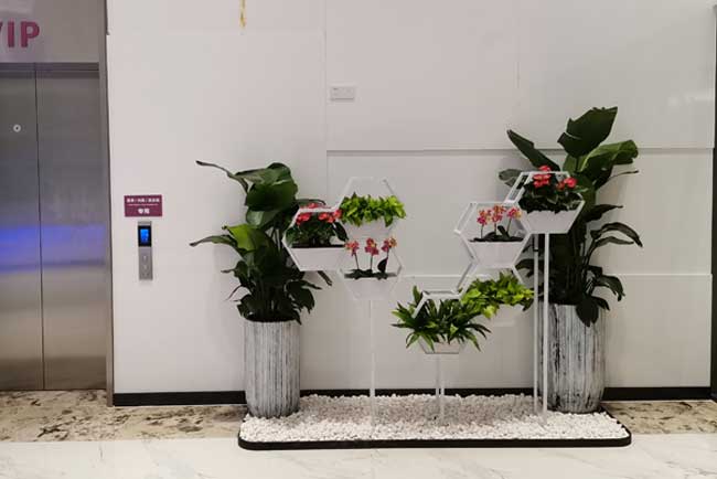 �����ֻ�е��