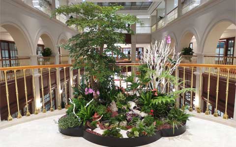 ���ޣ��격����԰���ٻ�Ϊ��ǰ���عɡ��ո�����ͨ...