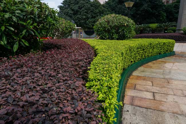 �����̻�����