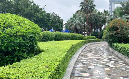 ó�������̻�����