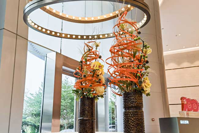 ������Ļ�㳡��ֲ������