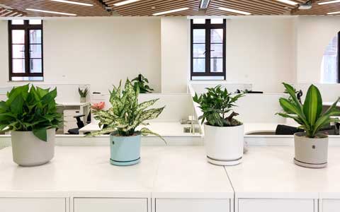 �칫������ֲ����ô������������ǧ��Ҫ����