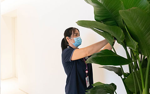 ר���Ƽ����칫�һ��ݰ��弼��