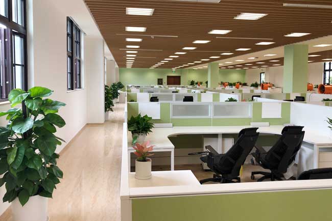 �칫��ֲ������